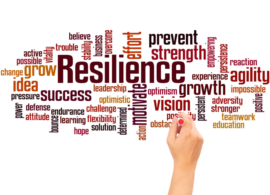 centre MHD accompagnement formation - comprendre la resilience